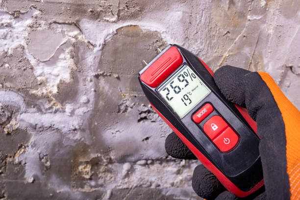 Best Professional Mold Removal  in Honeygo, MD