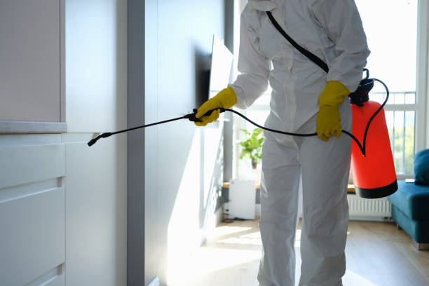 Best Mold Cleaning Services  in Honeygo, MD