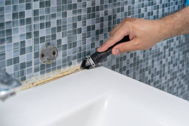 Best Mold Removal Company Near Me  in Honeygo, MD